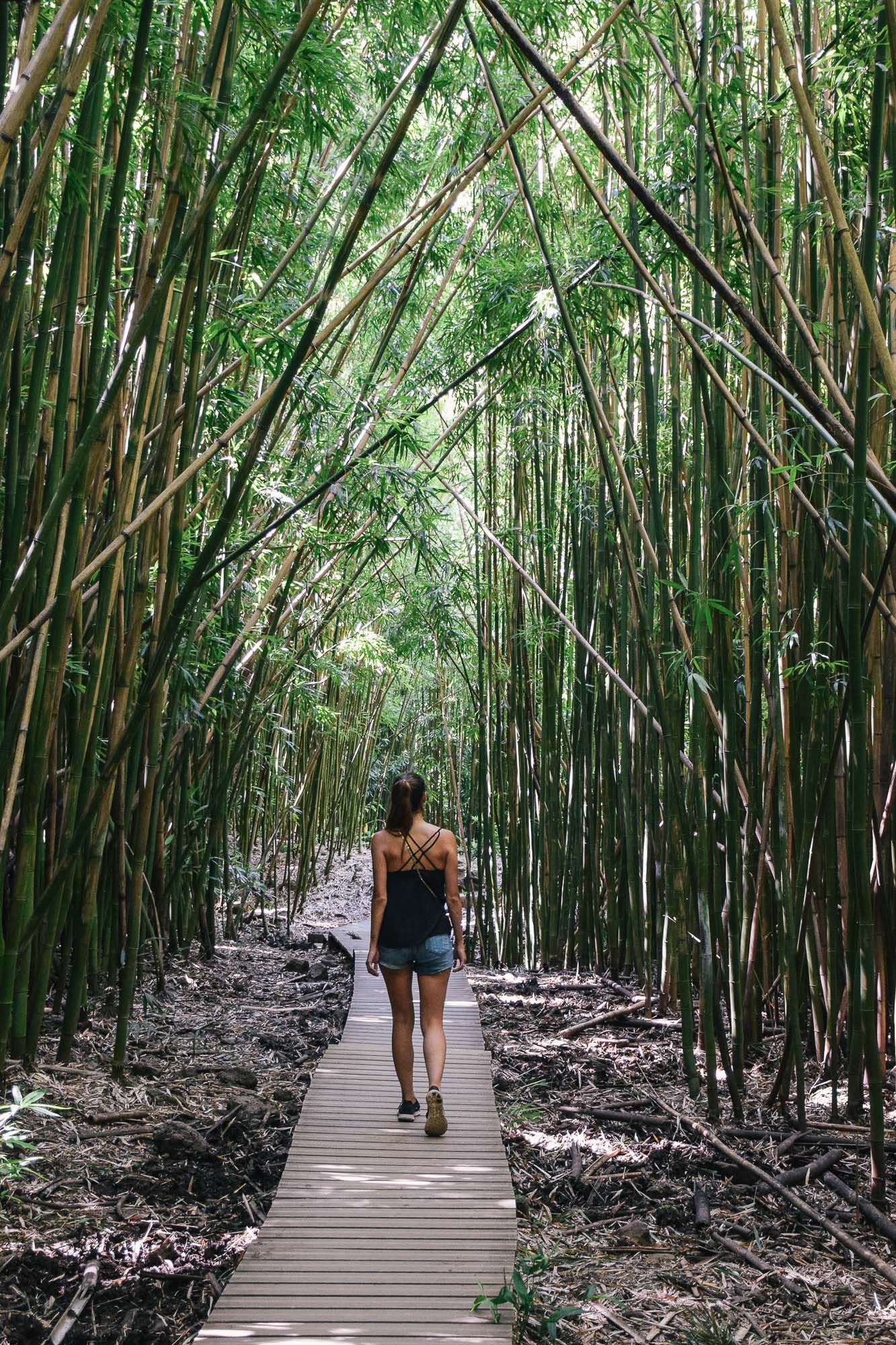 Foresta di Bamboo Maui